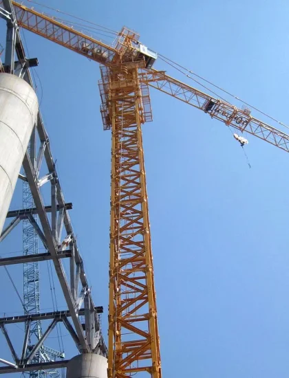 Carico della gru a torre Qtz80 della costruzione di Suntec prezzo della gru a torre da 8 tonnellate